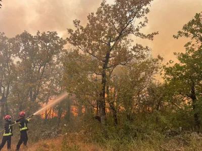 Incendie à Caylus : 50 pompiers mobilisés face aux flammes