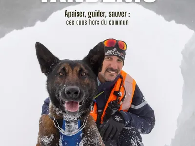 Tandems : ces chiens qui changent des vies