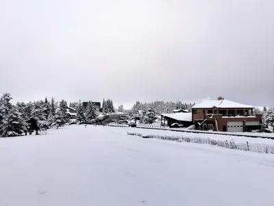 Mont Lozère : 80 cm de neige et un mercredi qui sent les vacances