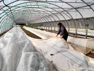 En Lozère, les maraîchers s'adaptent au climat 