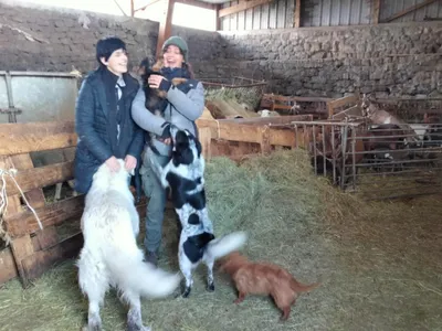 La Ferme enchantée ou l'arche de Noé lozérien