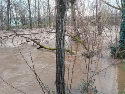Tempête Nils : plusieurs routes fermées en Corrèze