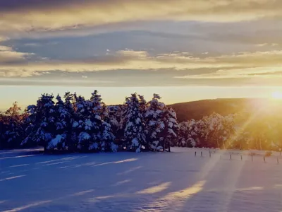 Les stations du Mont Lozère et du Mont Aigoual font leur première...