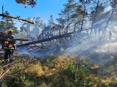 Incendie dans l'Aude  : des pompiers en renfort
