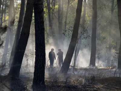 Ille-et-Vilaine : un violent incendie brûle 200 hectares de forêt,...