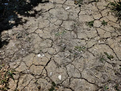 Sécheresse : le manque d’eau inquiète toujours dans le Grand Ouest