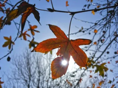 Un air de printemps en novembre : la Bretagne et les Pays de la...