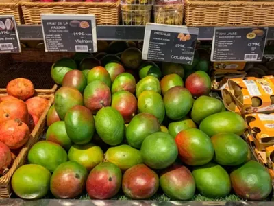 Avocats et mangues menacés ? Ce qui pourrait changer très bientôt...