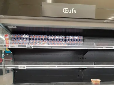 Pourquoi les œufs disparaissent des rayons des supermarchés