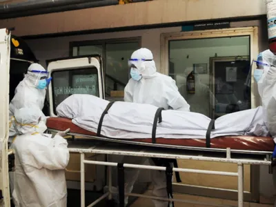 Virus Nipah : une nouvelle maladie rare redoutée, sous surveillance...