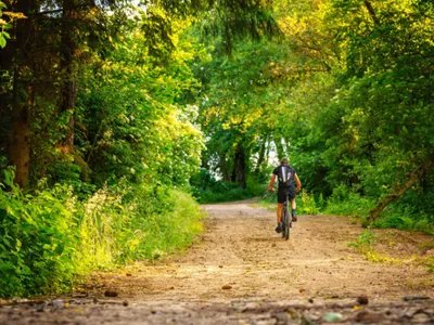Oubliez les somnifères ou anti-stress, la nature serait peut-être...