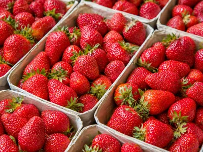 Fraises : pourquoi c’est maintenant qu’il faut en profiter... et...