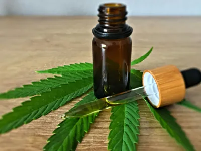 CBD alimentaire : Clap de fin pour les produits dérivés dès ce 15 mai