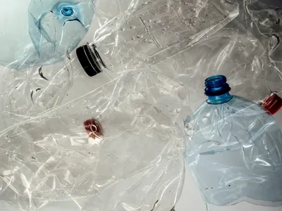 Recyclage des bouteilles : l'Ouest parmi les meilleurs élèves mais...