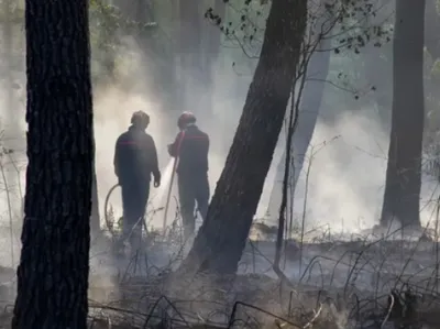 Plusieurs feux de végétation en Loire-Atlantique : 200 pompiers...