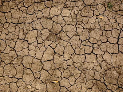 Le mois de septembre 2026 a été le deuxième plus chaud et le...