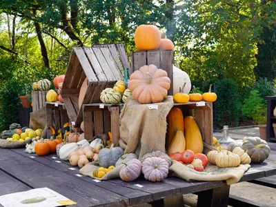 Vendée : le Potager extraordinaire passe en mode Halloween