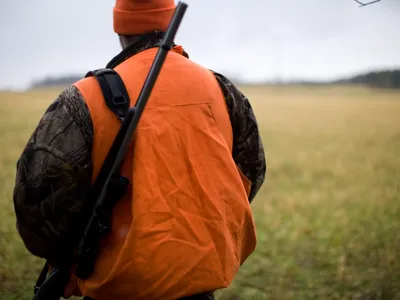 Vendée : des chasseurs tirent en l'air et blessent une femme sur...