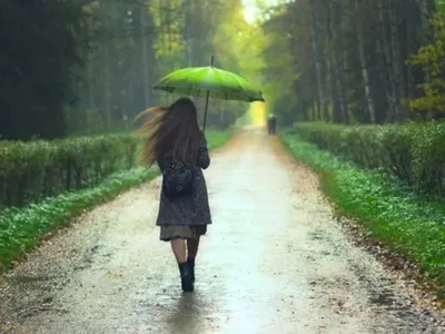 Pluie non-stop : les parapluies font un carton inattendu ! 