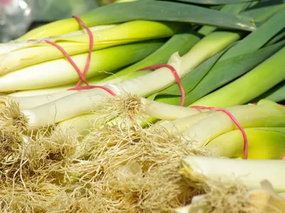Les supermarchés appellent à acheter des poireaux pour soutenir une...