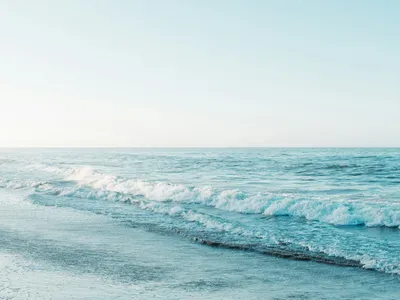 PFAS : les polluants éternels s’invitent sur les plages bretonnes...