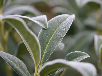 Météo : retour d’une ambiance plus hivernale dans le Nord-Ouest