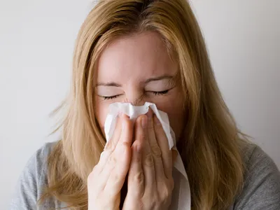 Allergies aux pollens : une saison 2026 en avance sous l’effet d’un...