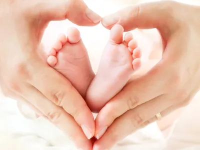 Pays de la Loire : les naissances résistent encore ! En Bretagne :...