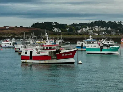 La pêche de nouveau suspendue un mois dans le golfe de Gascogne