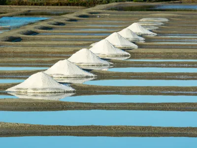 Plus de 5 500 tonnes de sel récoltées : record historique pour les...