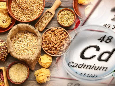 Cadmium dans les engrais : le poison invisible qui divise les députés