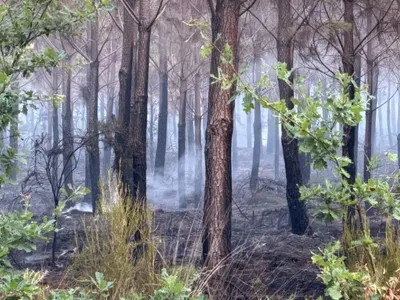 Incendie en Gironde : bilan stable, mais "la situation reste...