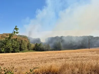 Saint-Rémy-du-Val : douze hectares partent en fumée
