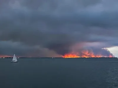 Presqu'île du Cap-Ferret : une cinquantaine de maisons brûlées