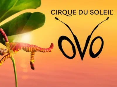 Gagnez deux places pour le Cirque du Soleil à Rouen 
