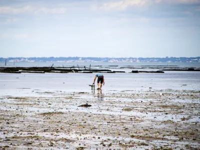 La mort d'un pêcheur à pied sur une plage calvadosienne