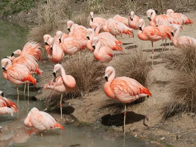 Gagnez votre pass famille pour biotropica 