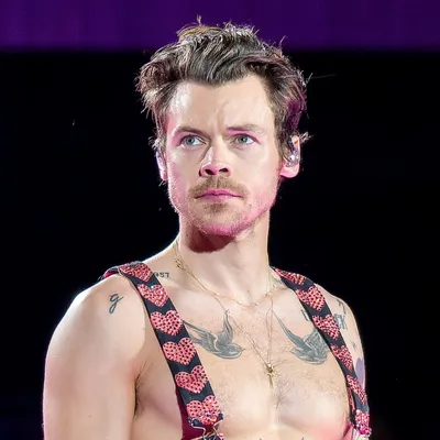 Harry Styles annonce 2 concerts en France