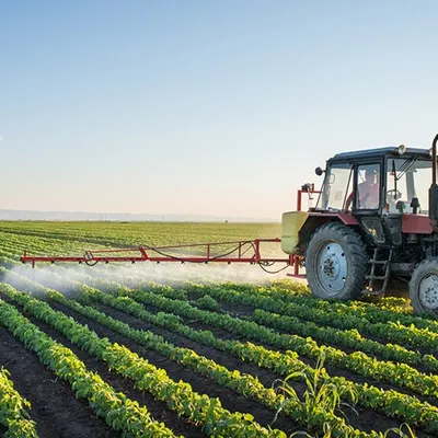 Des agriculteurs ont-ils utilisé des pesticides interdits ? Une...