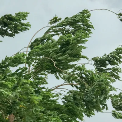 Tempêtes : Météo-France vous propose de les baptiser