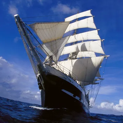 Le Belem de retour dans le Morbihan en 2026