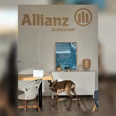 Côtes-d’Armor : un cabinet d’assurance de Guingamp a reçu un...