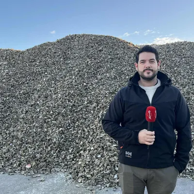 La seconde vie inattendue de vos coquilles d’huîtres