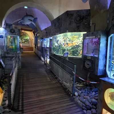 L'Aquarium Refuge de Limoges : une nouvelle identité au service du...