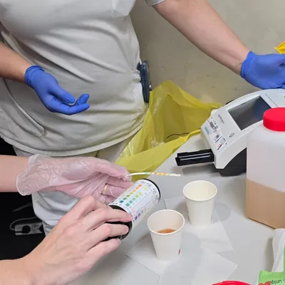 Maladies rénales : faites-vous dépister !