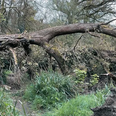 Tempête Goretti : à quoi doit-on s’attendre ?  