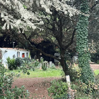 Attaque sur l’île d’Oléron : le conducteur mis en examen pour...