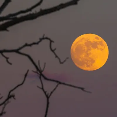 Lune de sang : va-t-on voir l'éclipse lunaire totale ce mardi 3...