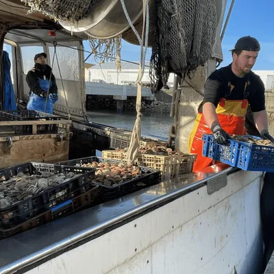 "Des quantités dérisoires" : le bilan décevant de la pêche aux...