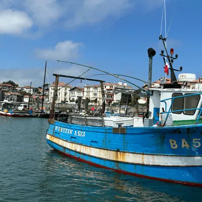 "La fermeture de la pêche, ce n’est pas satisfaisant" : comment...